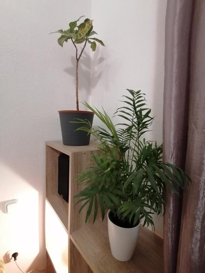 Apartmán A Jump From Downtown Budapešť Exteriér fotografie