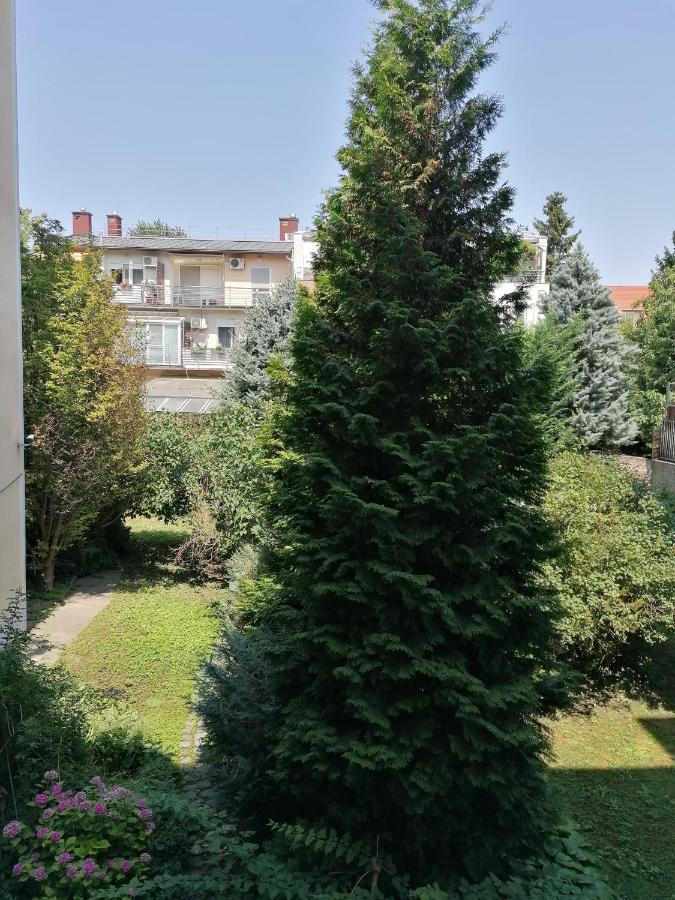 Apartmán A Jump From Downtown Budapešť Exteriér fotografie