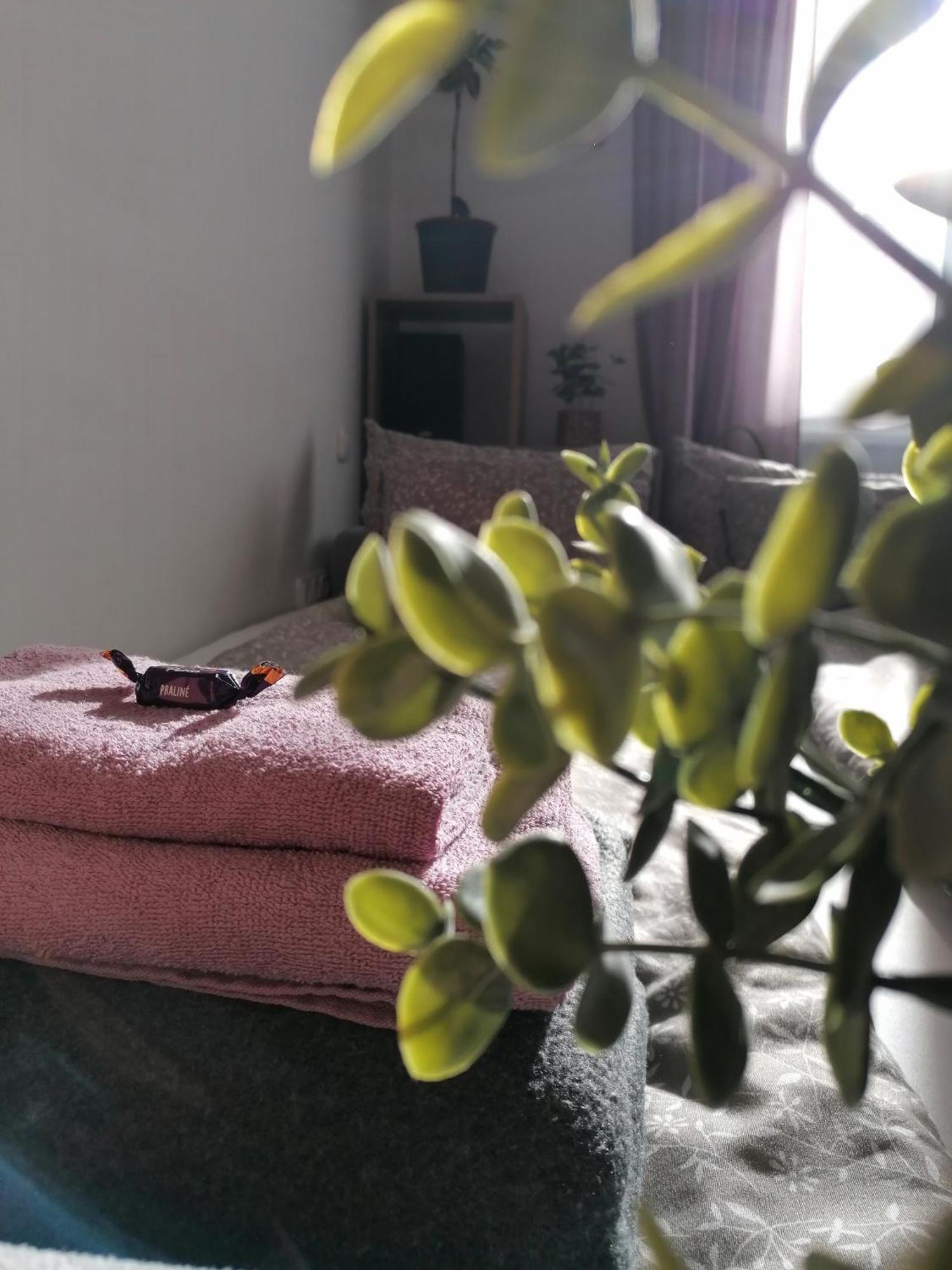 Apartmán A Jump From Downtown Budapešť Exteriér fotografie
